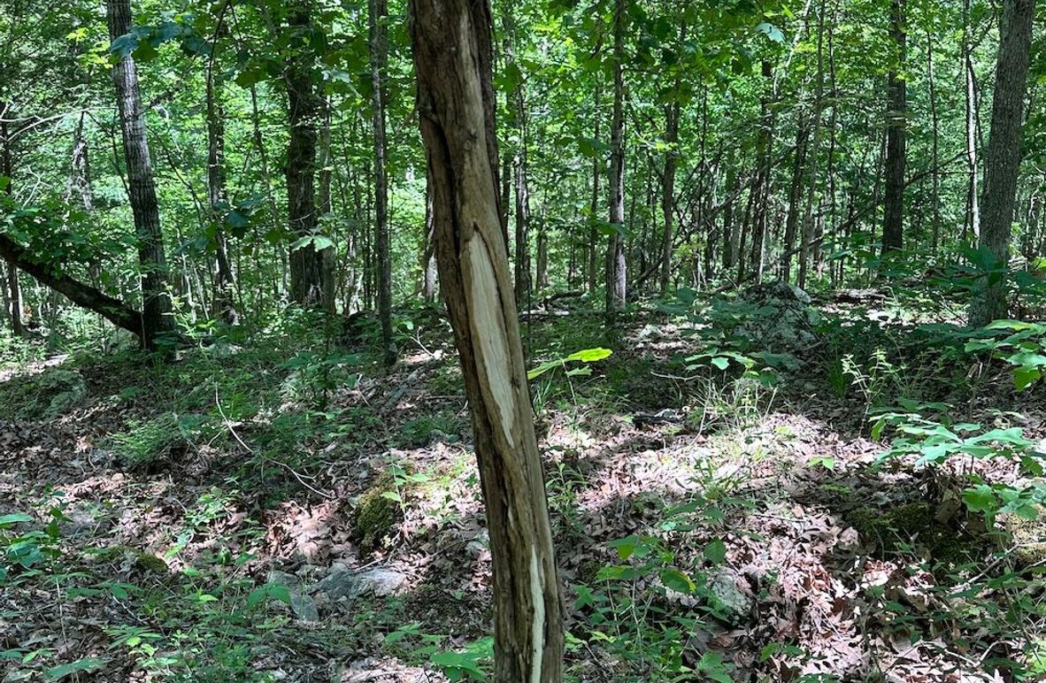 4. 