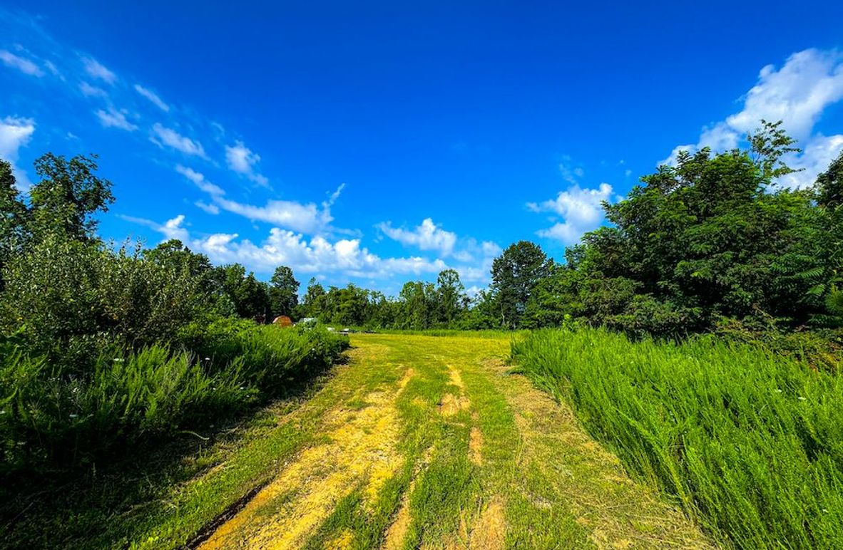 Lewis, WV 82.87 AC Barger-061