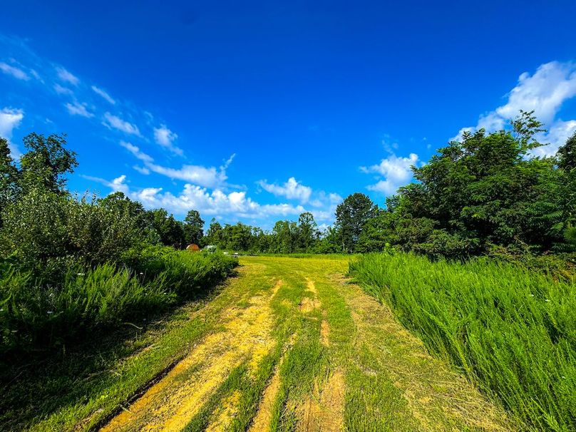 Lewis, WV 82.87 AC Barger-061