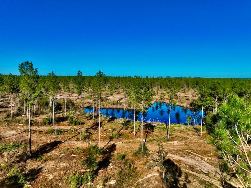 C1C99CAC-875A-4649-B41F-E407658012B6_1_201_a