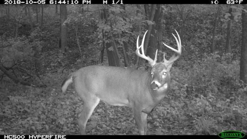 2018-10-05 18-44-10 M 1_1