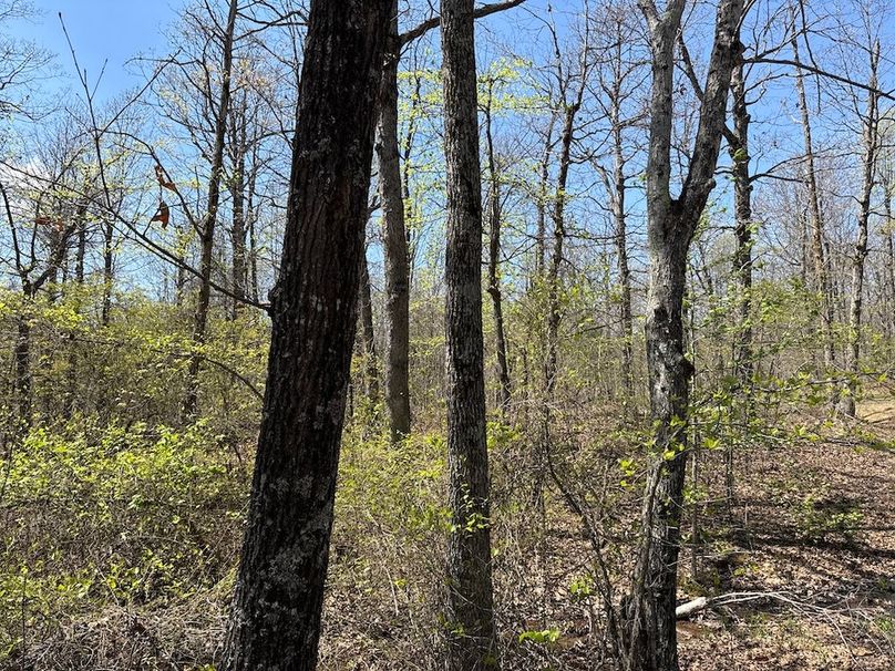 DJI_20260408_135624_879