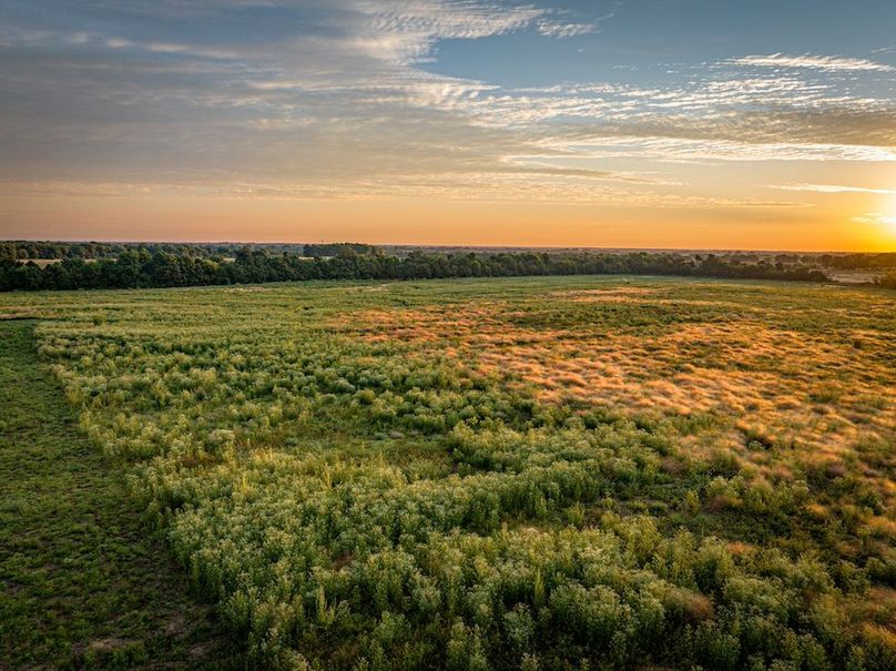 Copy of Clay 374.13-09