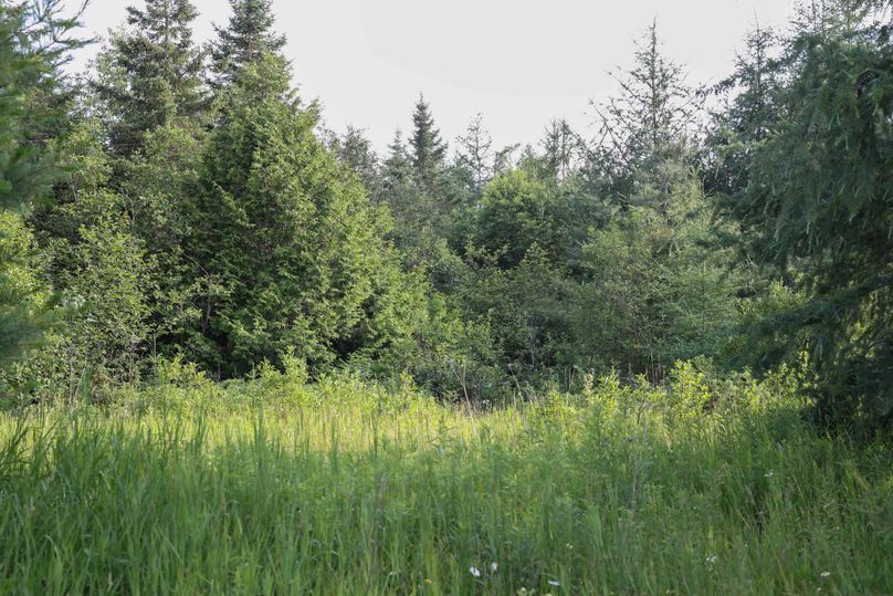 Mackinac20Fewins-6045