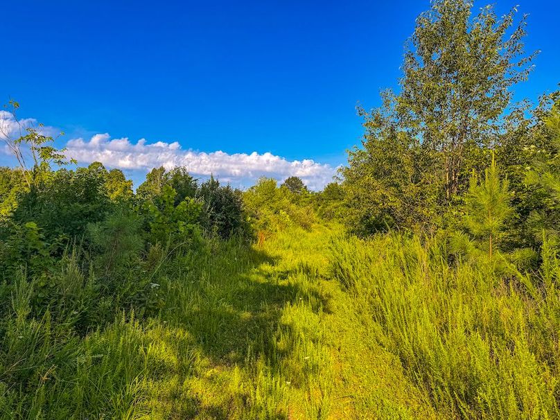 Lewis, WV 82.87 AC Barger-070