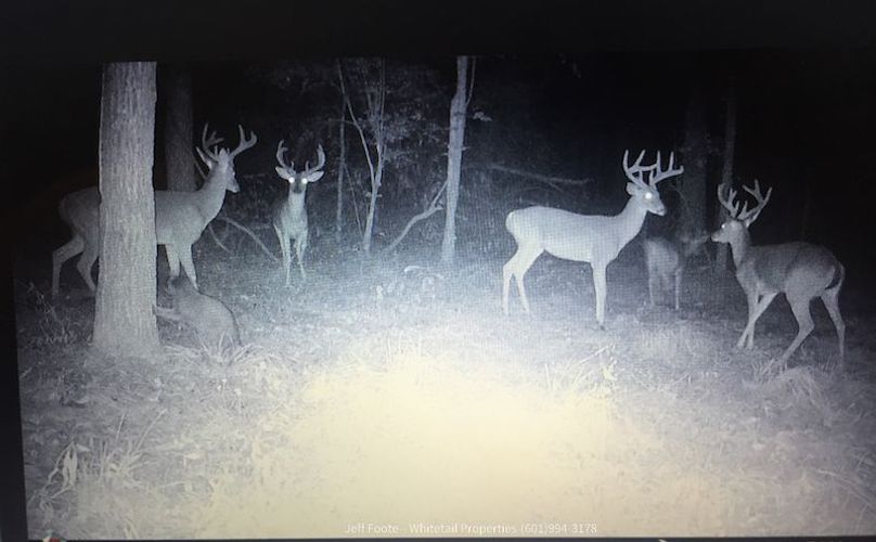 Hinds - 25.48 - Hank Beasley-15