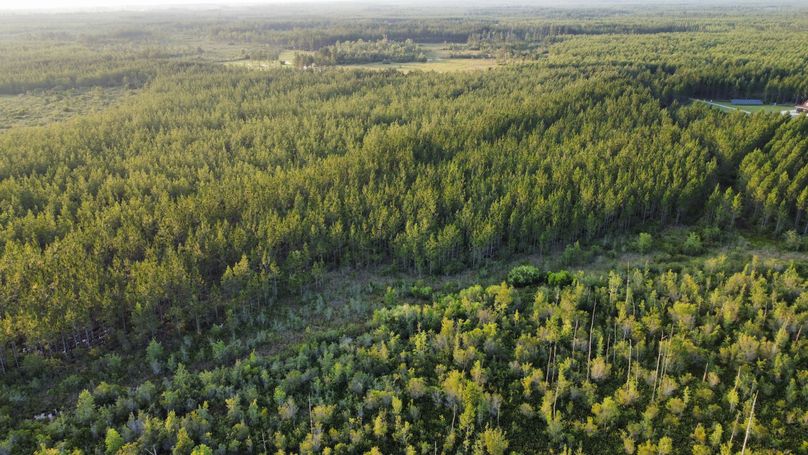 dji_fly_20230616_194822_46_1686959323761_photo_optimized