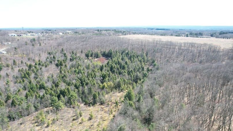 dji_fly_20250417_113356_146_1744904163352_photo