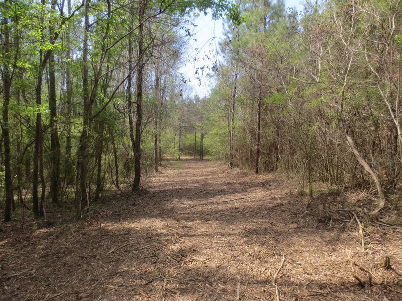 BD1E9BA6-1EFB-4BDF-BC89-9DAD7870006F_1_105_c