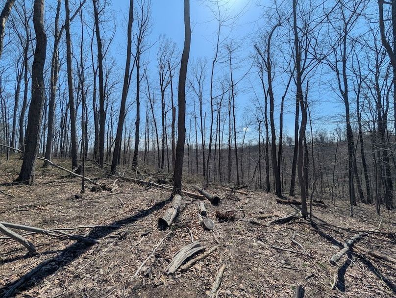 PXL_20260326_165303512.MP