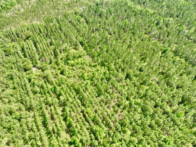 dji_fly_20230426_150912_326_1682536315226_photo