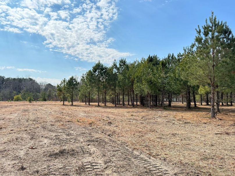 9911122F-79B5-46FE-BC3D-EA1F269440DB