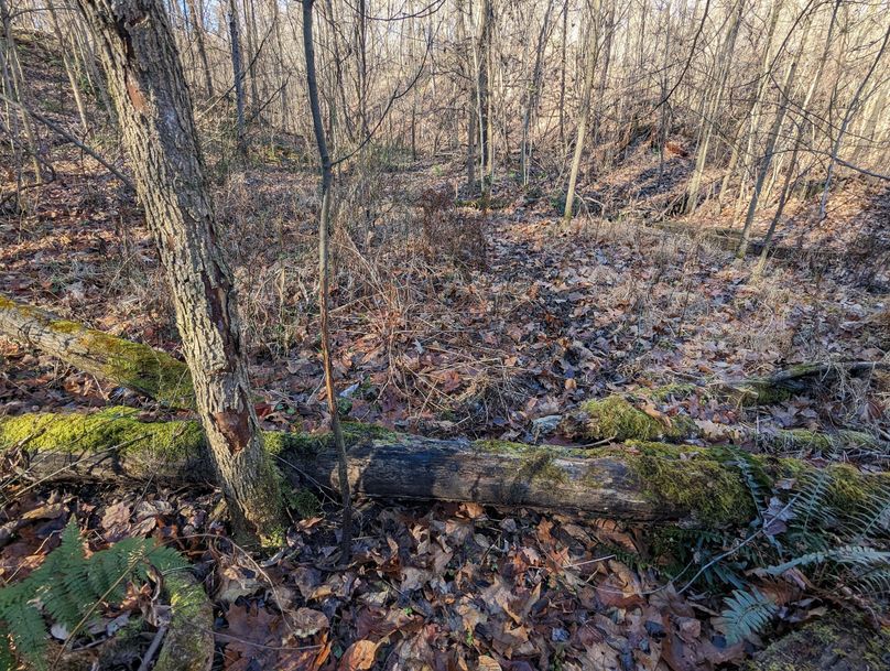 PXL_20231215_163946242