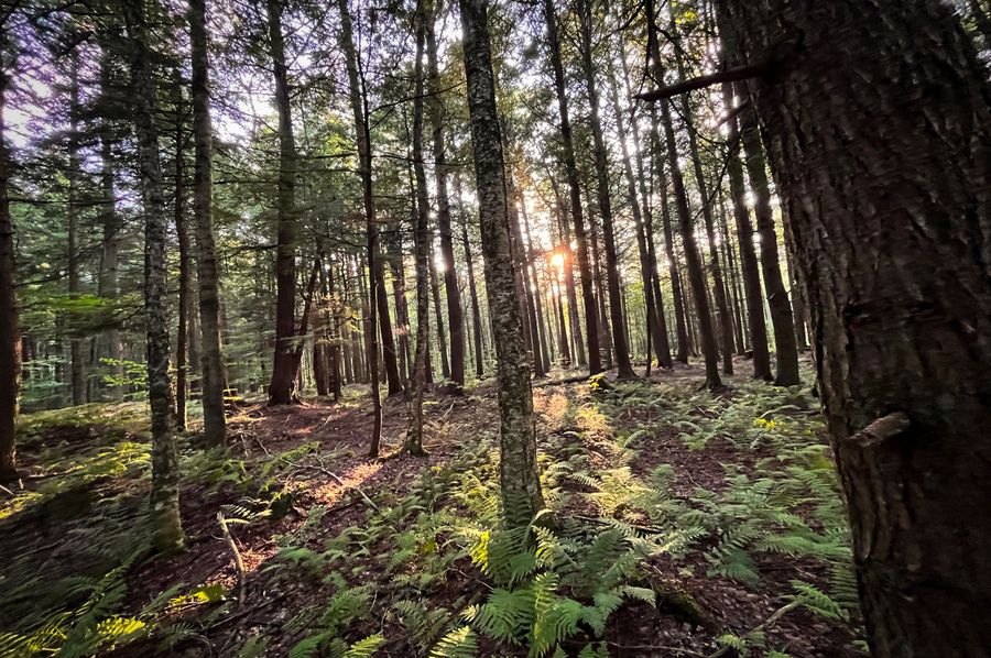 Oswego_30_RouselandInvestments_LLC_Photos_5