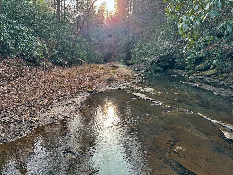 026 more views of Lower Laurel Creek