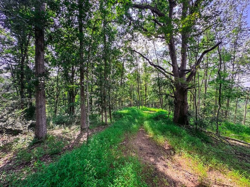 Lewis, WV 105 AC Miller-72