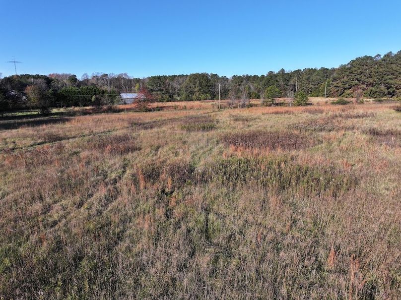 Copy of DJI_20241124091748_0247_D