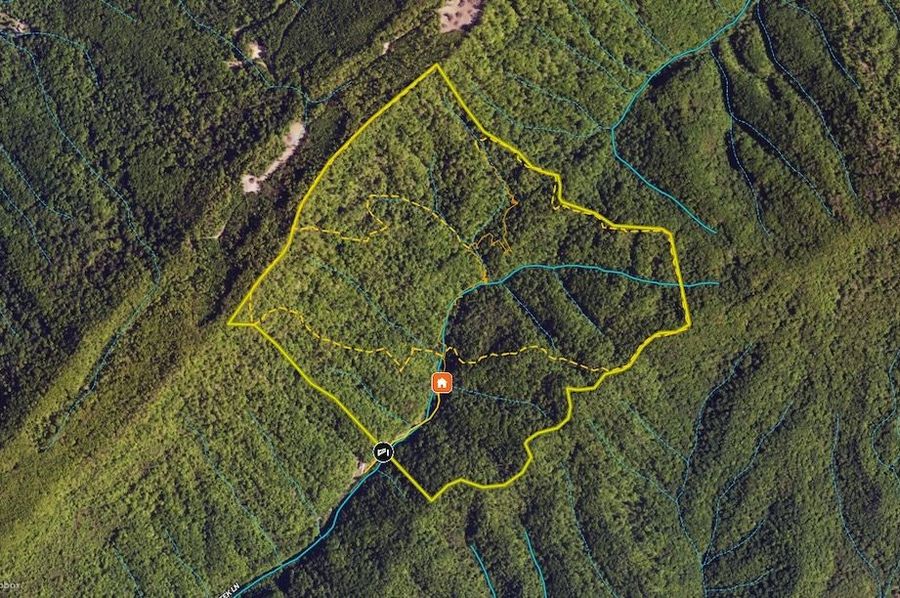 aerial1