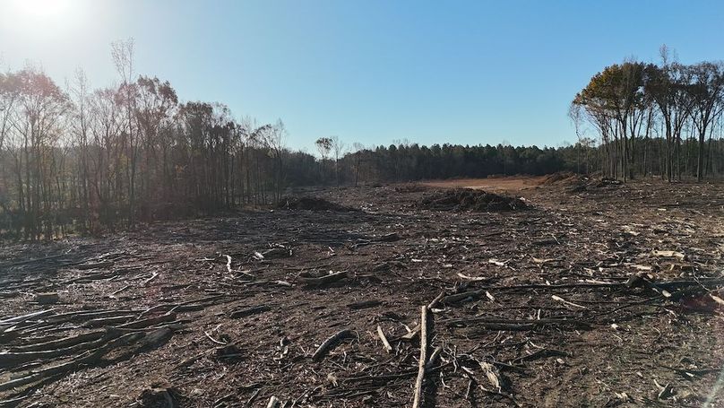 dji_fly_20251114_083236_0990_1763127661237_photo