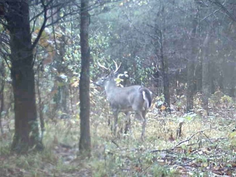 Screenshot 2024-03-02 134248