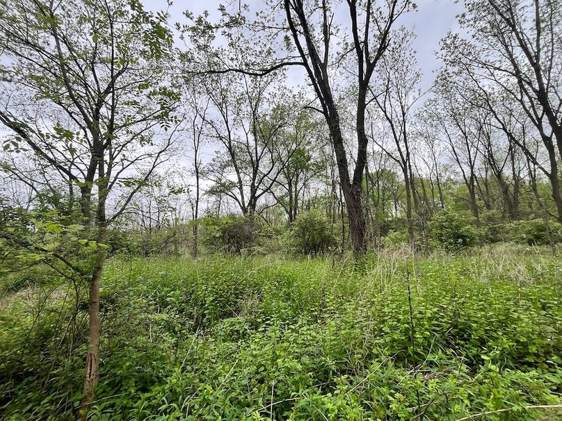 Chemung_3.5_Rouseland Photo 11