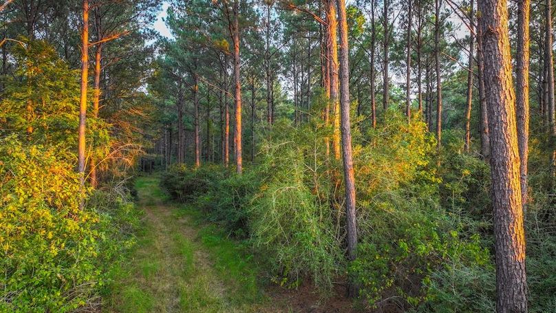 DJI_20250918182739_0224_D