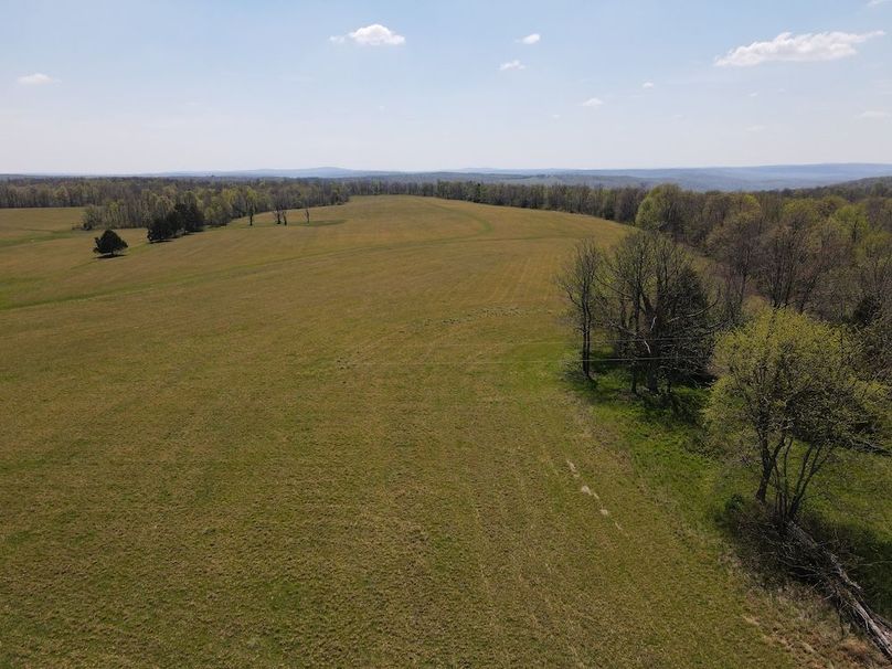 dji_fly_20260408_131906_431_1775672360804_photo