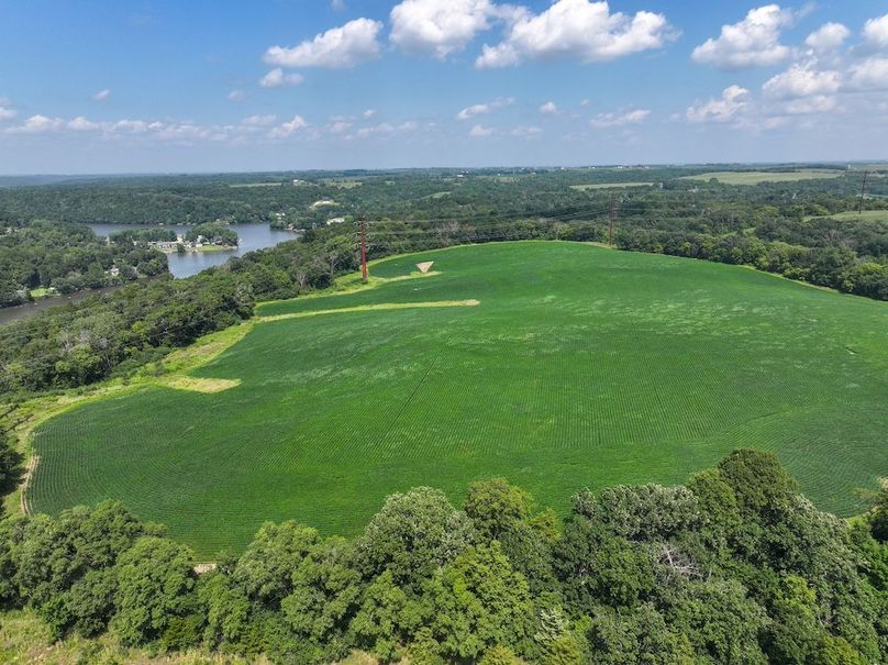 Olmsted 42.63 New-10