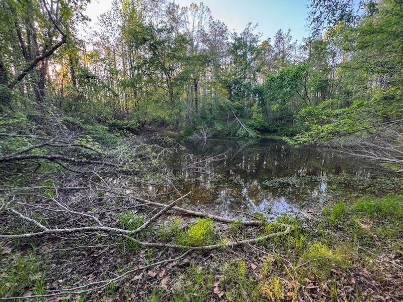 Tallahatchie 44 Newman (Crowden) Wide-53