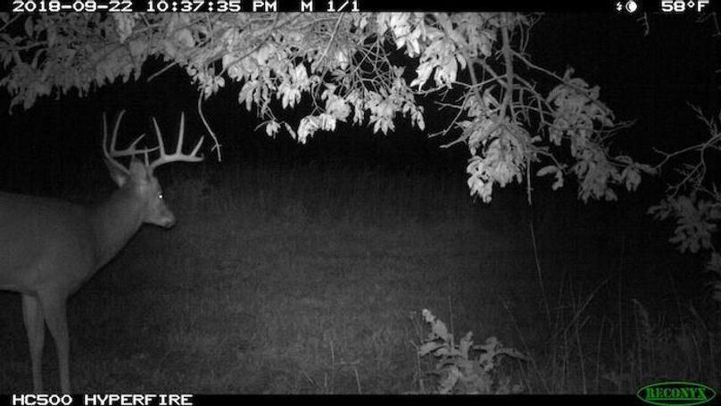 2018-09-22 22-37-35 M 1_1