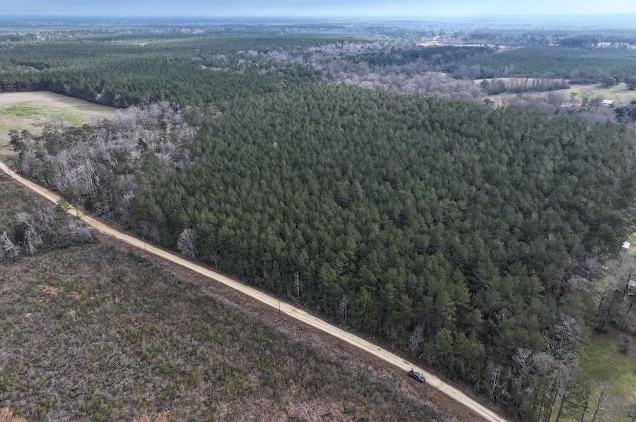 2 dji_fly_20250303_081824_0014_1741021850962_photo