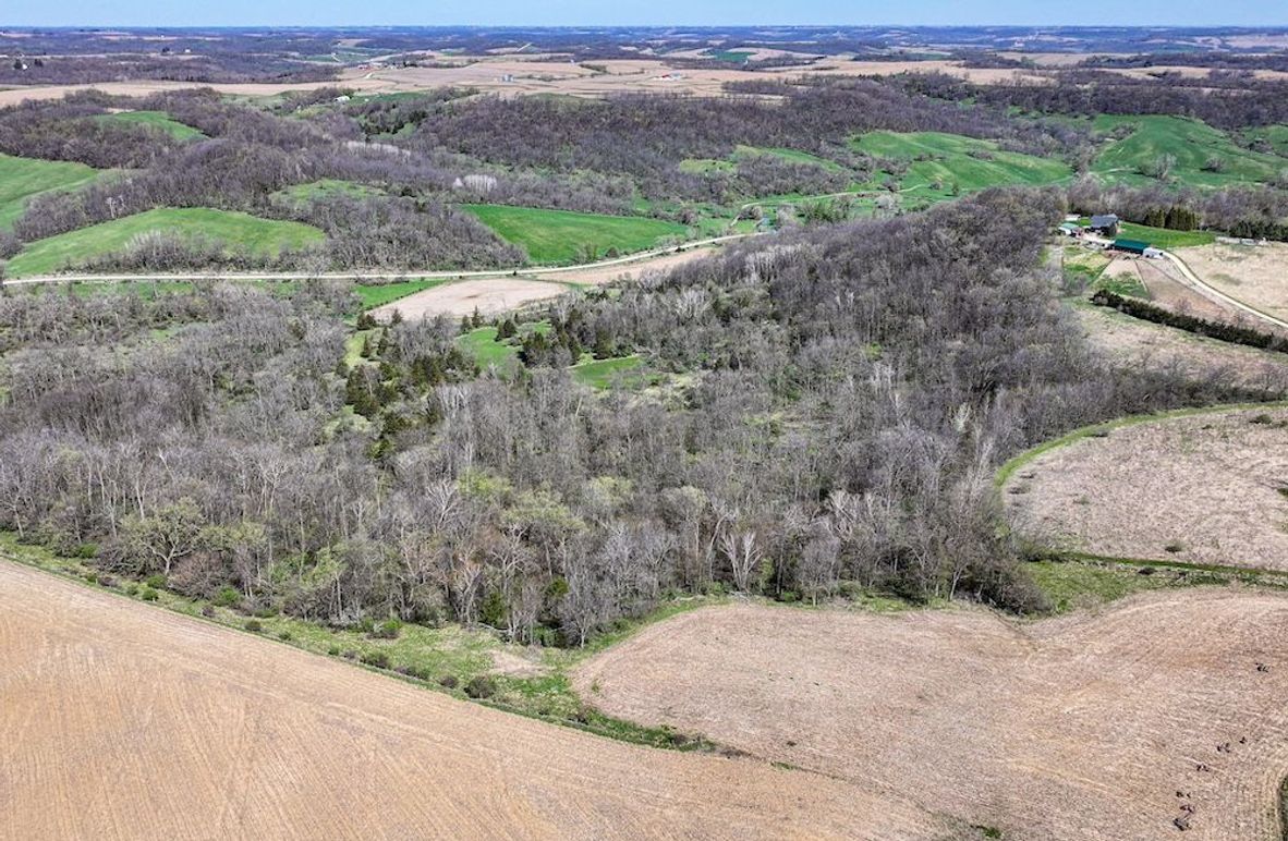 Strawberry Point- WTP-09