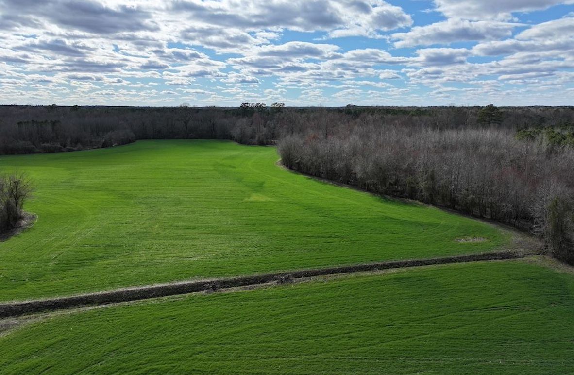 DJI_20250306150605_0001_D