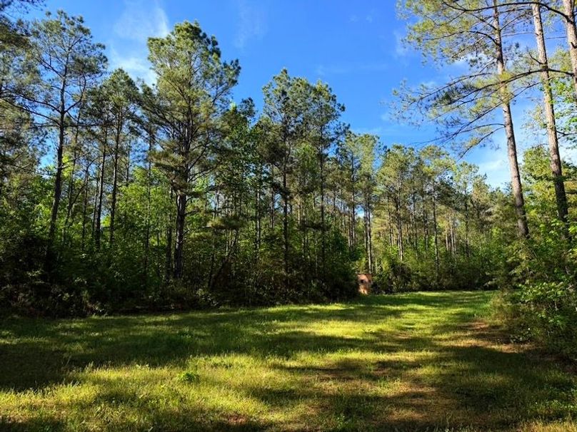 D71D8909-967F-4362-B498-E6077ADADE23_1_105_c