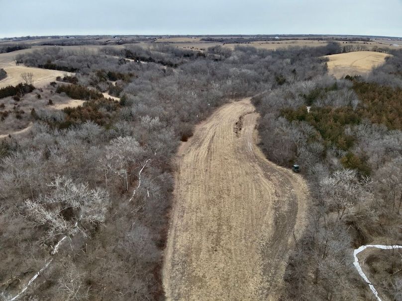 8FEC6230-63AF-42AC-9754-1486F290E5A2_1_201_a