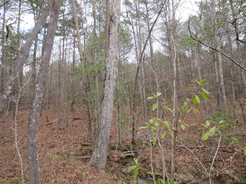 28BC7CF5-45CA-4C79-A169-DC6FC53F8D3A