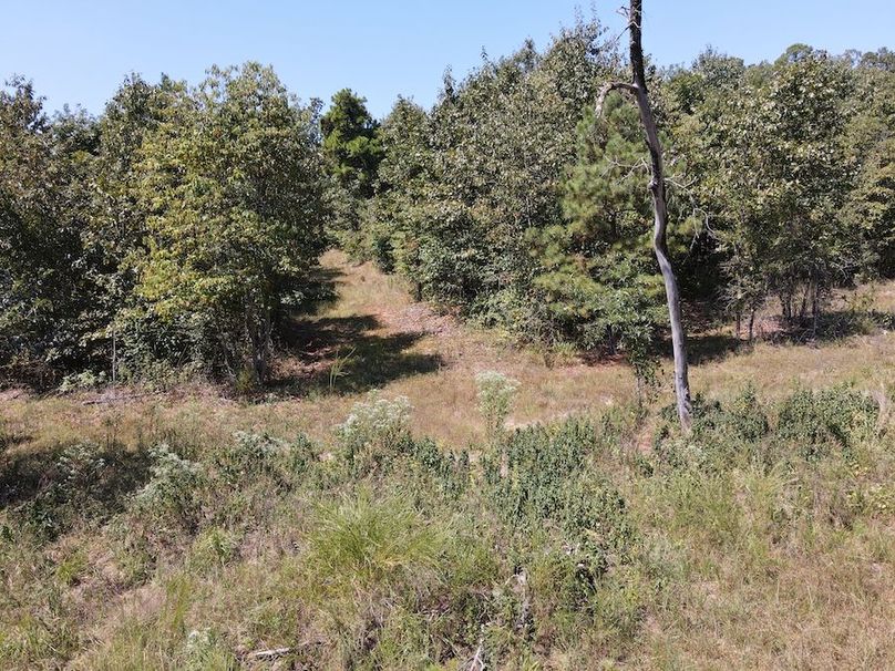 dji_fly_20250902_122106_755_1756833684255_photo