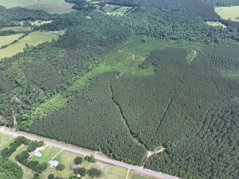 dji_fly_20260519_134528_0011_1779286791759_photo