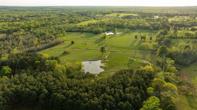 58 Marion TX 143 and 117 Featured_ProPhoto-155