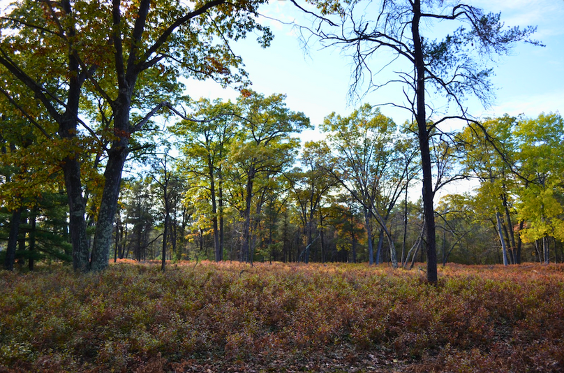 Screenshot 2025-11-14 at 11.08.34 AM