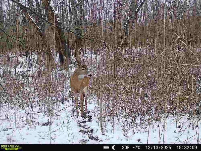 860516067590228-100-2-12132025153208-V-W1000171