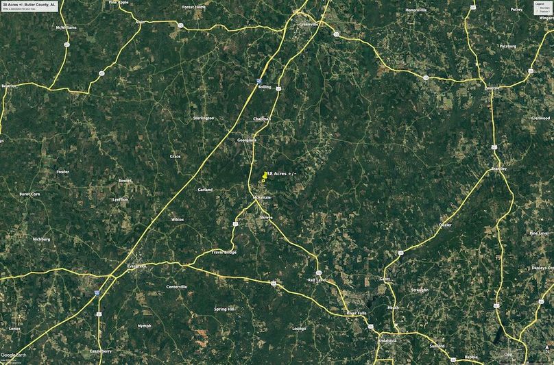 Aerial #7 Approx. 38 Acres Butler County, AL