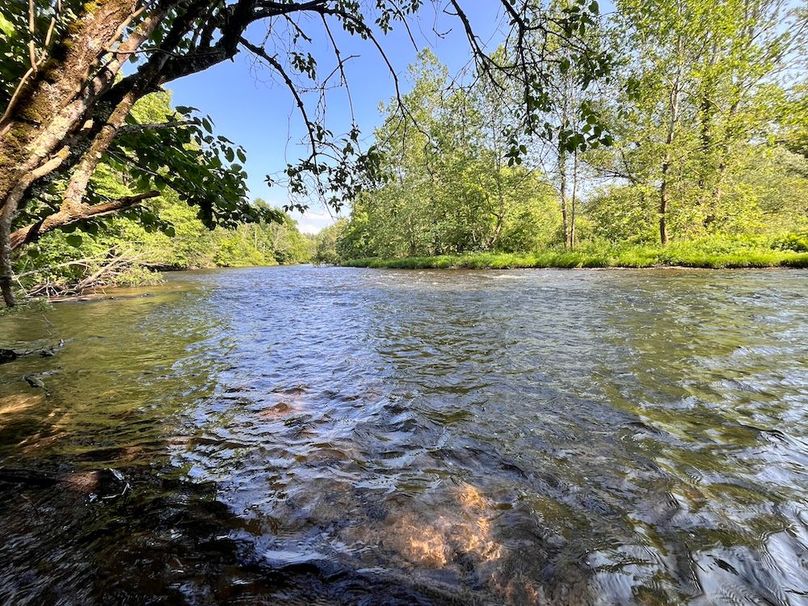 Oswego_22.46-Ross-French_Photos_32