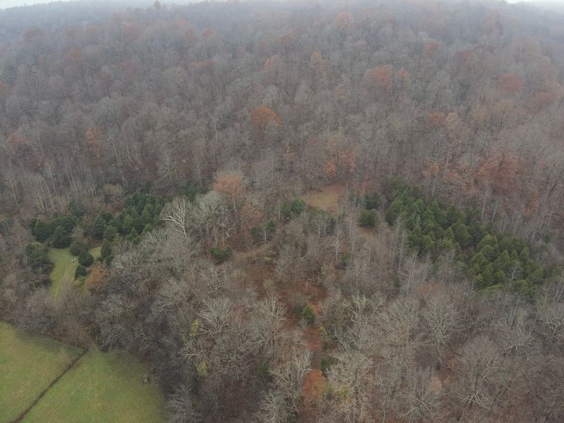 38-DJI_20251119111211_0002_W