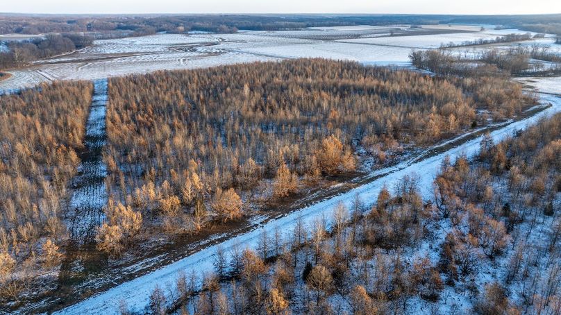 DJI_20251209075509_0012_D