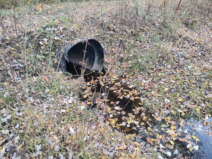 IMG_20251105_153757472_HDR