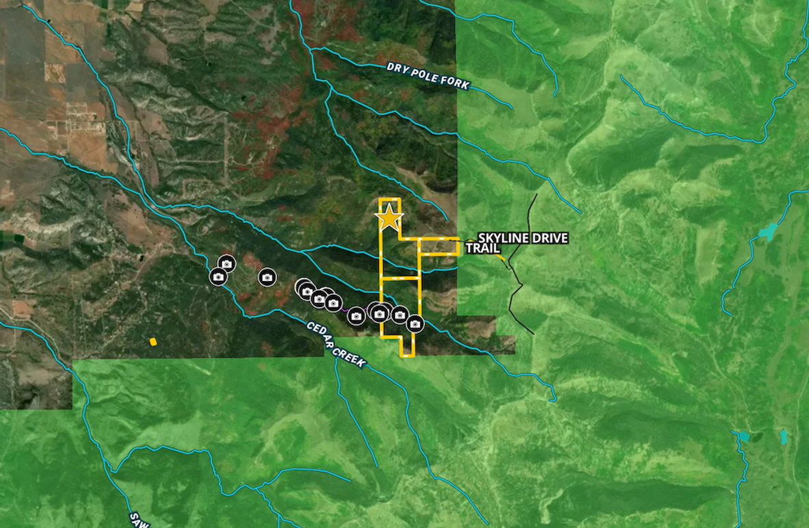 Screenshot 2025-04-08 at 12.33.05 PM