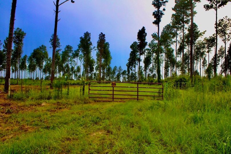 BDE38C52-37CF-4362-BF99-CD0D7AAC6211_1_105_c