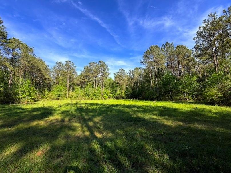 7452E021-9056-402C-BCE6-565357A3D1E2_1_105_c