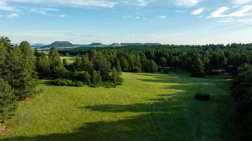 09 Main Meadow - Northern View